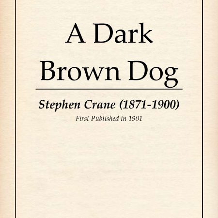 A Dark Brown Dog