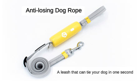 Hands Free Dog Leash