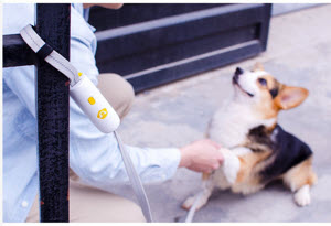 Hands Free Dog Leash